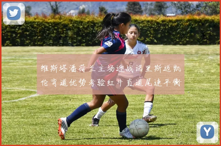 维斯塔潘荷兰主场迎战诺里斯迈凯伦弯道优势考验红牛直道尾速平衡能力