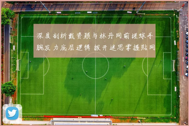 深度剖析戴资颖与林丹网前搓球手腕发力底层逻辑 拨开迷思掌握贴网搓球的高阶控制诀窍