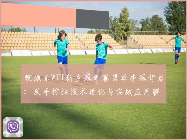 樊振东WTT新乡冠军赛男单夺冠背后:反手拧拉技术进化与实战应用解析