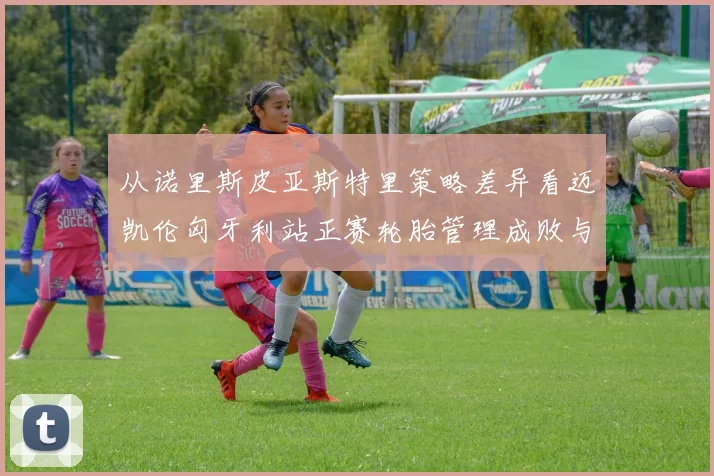 从诺里斯皮亚斯特里策略差异看迈凯伦匈牙利站正赛轮胎管理成败与高温赛道博弈