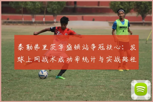 泰勒弗里茨华盛顿站争冠核心：发球上网战术成功率统计与实战路径解析