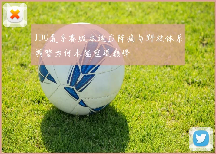JDG夏季赛版本适应阵痛与野核体系调整为何未能重返巅峰