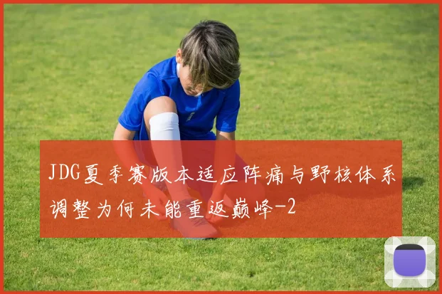JDG夏季赛版本适应阵痛与野核体系调整为何未能重返巅峰