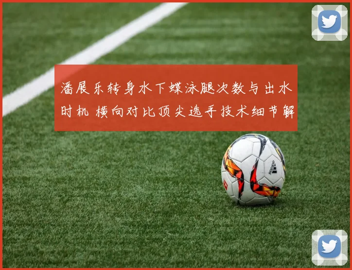 潘展乐转身水下蝶泳腿次数与出水时机 横向对比顶尖选手技术细节解析